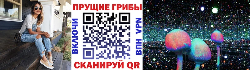 Галлюциногенные грибы мицелий  Купить где  Усолье 