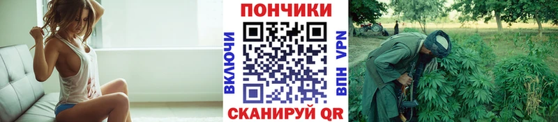 Бошки Шишки THC 21%  Купить  Усолье 